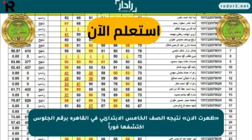 «ظهرت الآن» نتيجة الصف الخامس الابتدائي في القاهرة برقم الجلوس اكتشفها فوراً